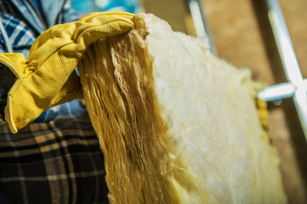 Types of Insulation We Offer in Poteet, TX