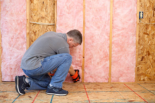 Best Geographic-Specific Insulation Services in Poteet, TX