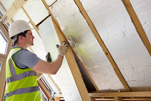 Best Eco-Friendly Insulation in Poteet, TX