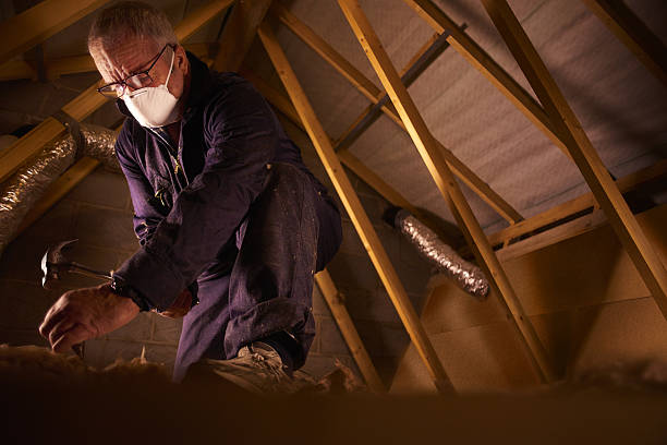 Best Specialized Insulation Services in Poteet, TX